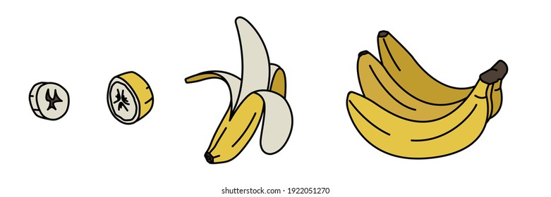 Sketch bananas set. Bunches of fruit, half peeled, open and cut banana. Flat style. Vector illustration on white background