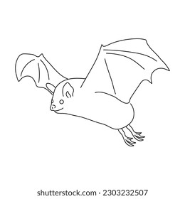 Sketch of Bat drawn by hand. Vector hand drawn illustration.