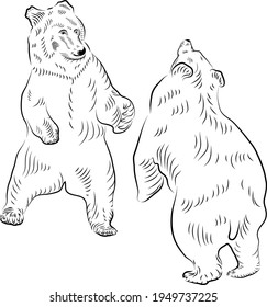Sketch. Battle of two bears.