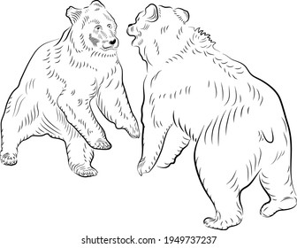 Esbozo. Batalla de dos osos.