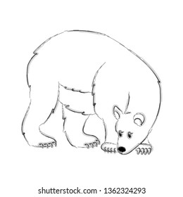
Sketch of a bear  on a white background.