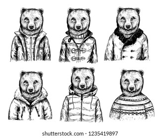 Sketch of bear in winter jacket. Hand drawn vector illustration