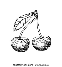 Сherries sketch. Beautiful cartoon black and white outline. Hand drawn fruit illustration for greeting cards, posters, recipe, culinary design. Isolated on white background.