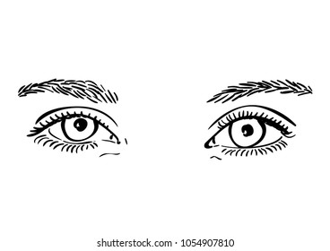 Sketch of beautiful eyes and natural eyebrows of teenage girl, Vector sketch close up, Hand drawn illustration