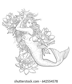 Sketch of a beautiful mermaid on a white background.