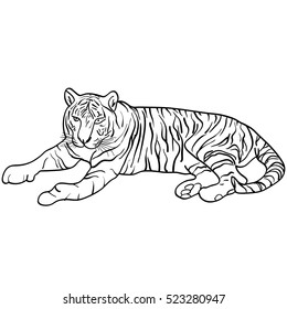 Sketch beautiful tiger on a white background. Vector illustration.