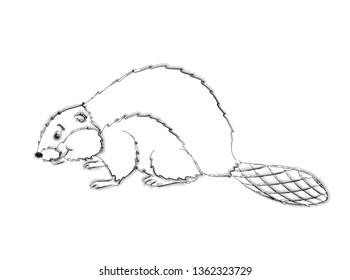 
Sketch of a beaver on a white background.