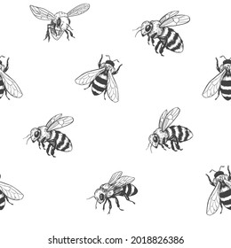 Sketch of a bee. Seamless pattern. Honey design. Vector illustration 