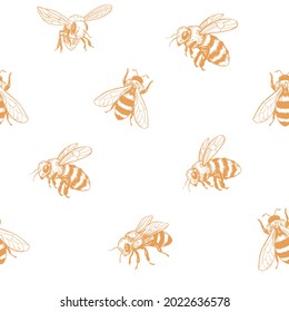 Esbozo de una abeja. Patrón sin foco. Diseño de miel. Ilustración del vector 