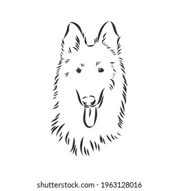 Sketch of Belgian Shepherd dog, Hand drawn illustration.