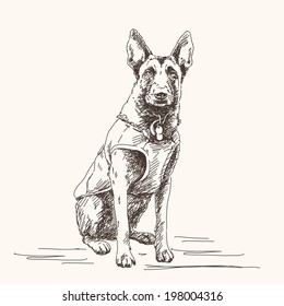 Sketch of Belgian Shepherd dog, Hand drawn illustration. svg