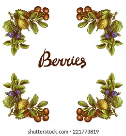 Sketch berries colored frame with blueberry cranberry and gooseberry branches vector illustration