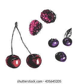 Sketch berries set with color: raspberries, cherry, blueberries. Hand drawing vector illustration on white background