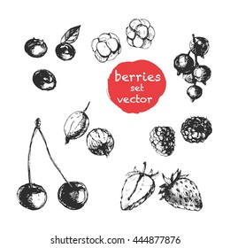Sketch berries set, hand drawn labels and stickers.Vector illustrations for graphic and web design, for food and drink, restaurant and bar, menu, fruit market, organic fruits.