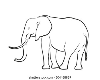 Sketch of a big elephant.