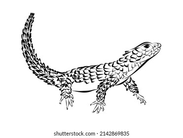 Sketch of a big lizard dragon