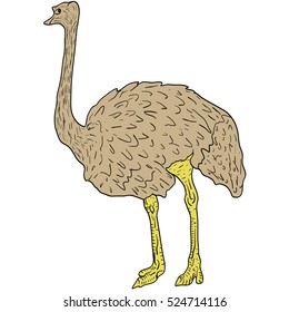 Sketch big ostrich standing on a white background. Vector illustration.