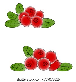 sketch of a bilberry berry