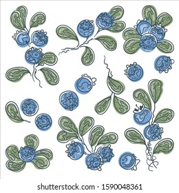 Sketch. Bilberry set, vector illustration