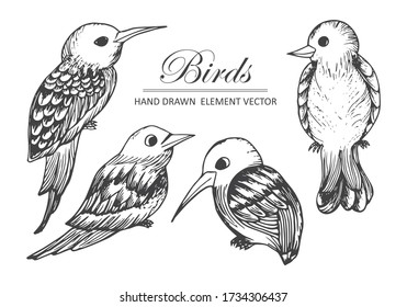 Sketch, bird, black and white poultry pictures with stripes on a white background, hand drawn for printing, wrapping and other natural designs, stock vector illustrations and stock images.