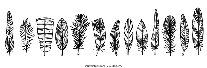 Sketch bird feather hand drawn doodle natural set. Scribble plumage vector illustration vintage retro collection. Wing angel silhouettes.