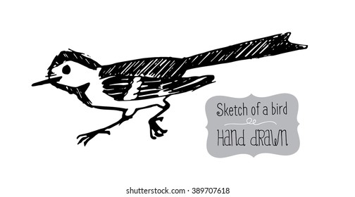 Sketch bird. Sketch of hand drawing. Trace result monochrome.