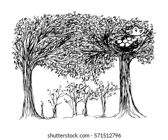 Sketch bird on tree hand drawing illustration.