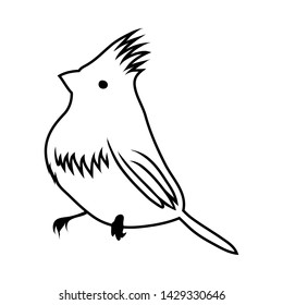 Sketch of Bird. Outline Design.  Vector Illustration.
