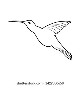 Esboço de Pássaro. Estrutura de tópicos.  Ilustração de vetor.