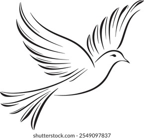 Sketch of Bird. Outline Design. Vector Illustration. Silhouette with white background.