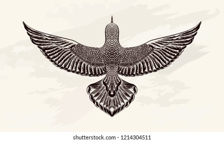 Sketch of bird for tattoo art and print t shirt. Line art. Vector illustration. Hand drawn dove on the watercolor background. Symbol of freedom. Boho chic. Vintage background with wild animal. Nature 