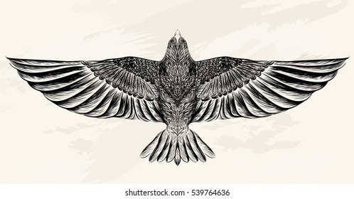 Sketch bird for tattoo  Line art  Vector illustration 