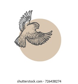 Sketch bird. Vector illustration