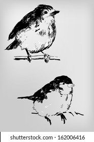 Sketch of birds