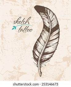 A sketch of the bird's feather. Suitable for tattoo