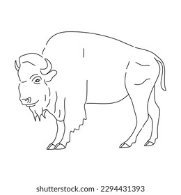 Sketch of Bison. Hand drawn vector illustration.