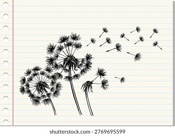 Sketch black dandelion on white papaer background, flying seeds of dandelion.Blowing dandelion vector.