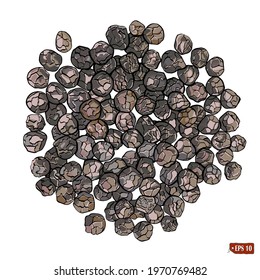 Sketch of a black peppercorns. Hand drawn vector illustration of black peas on white background.