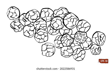 Sketch of a black peppercorns. Hand drawn vector illustration of black peas on white background.