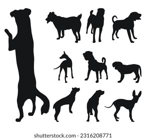 Sketch of black silhouettes of dogs in poses. Outline of pets go, standing, running, jumping, training, walking, guarding, posing, play, showing 
