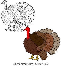 Sketch black turkey on a white background. Vector illustration.