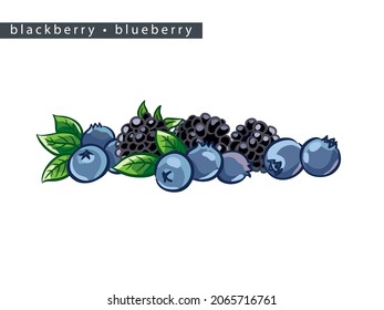 sketch blackberry and blueberry: eleven berries 
on a white background, isolated vector drawing