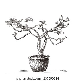 Esbozo del pequeño árbol de flor en la olla de arcilla, ilustración del vector dibujado a mano