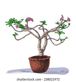 Esbozo del pequeño árbol de flor en la olla de arcilla, ilustración del vector dibujado a mano