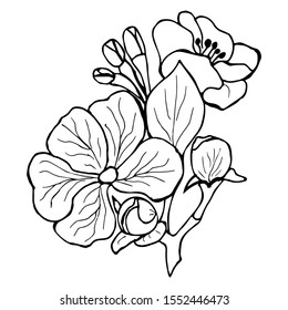 Sketch of a blossoming apple tree branch on a white background. Hand-drawn. Soft color. Vector illustration. Suitable for banner, postcard, design