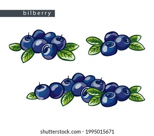 sketch blue bilberries: big pile of berries