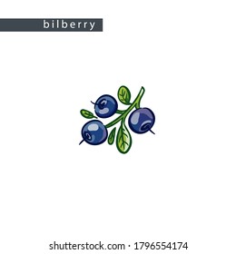 sketch blue bilberries: branch with three berries