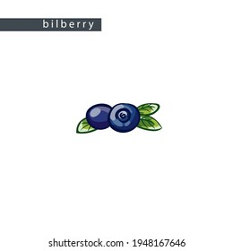 sketch blue bilberries: two berries and leaves