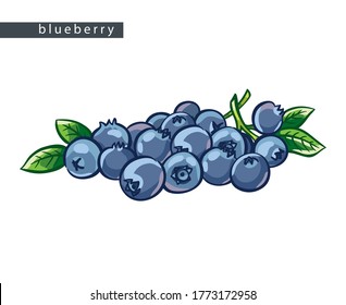 sketch blue blueberries: big bunch of berries with leaves