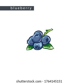 sketch blue blueberries: five berries on a branch with leaves